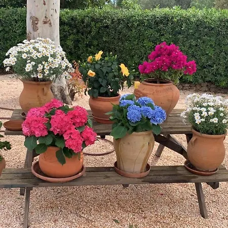 Kentia Mallorca, Charming And Stylish Close To * Palma